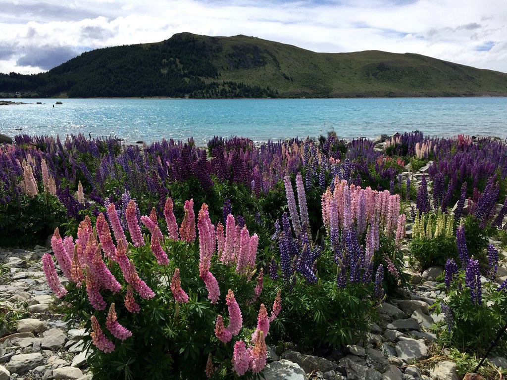 纯净之旅（南）3 摄影 天线小宝宝