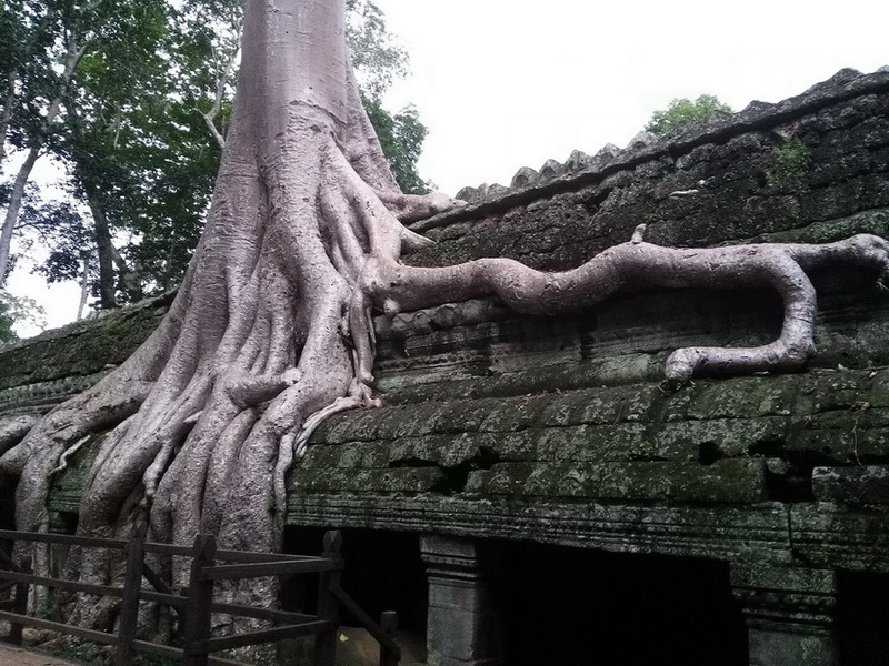 吴哥古迹——塔布笼寺 摄影 tielong