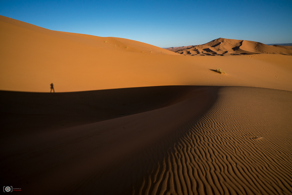 Lost In Sahara Deserts 摄影 chookia