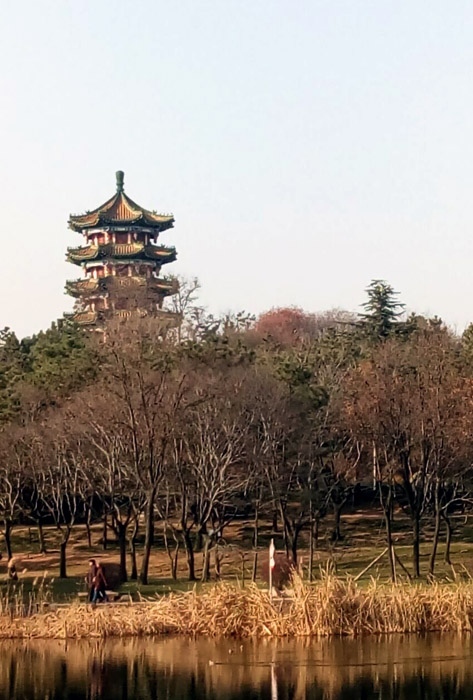 青岛初冬景色随拍 摄影 心灵的彼岸