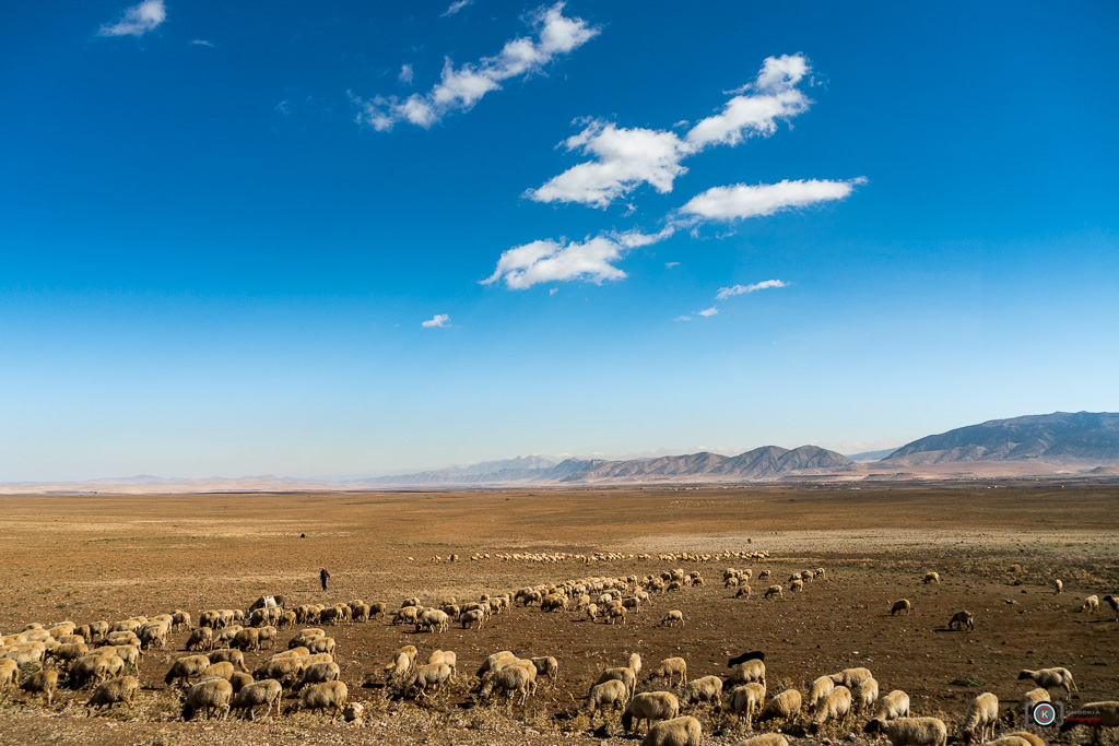 Prairie II Morocco  Sony A7rII 摄影 chookia