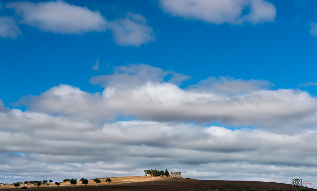 Way To Essaouira II Morocco 摄影 chookia