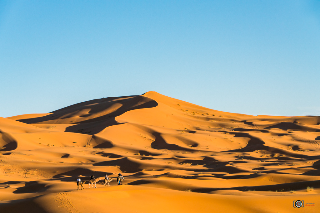 Sahara Desert II Merzouga 摄影 chookia