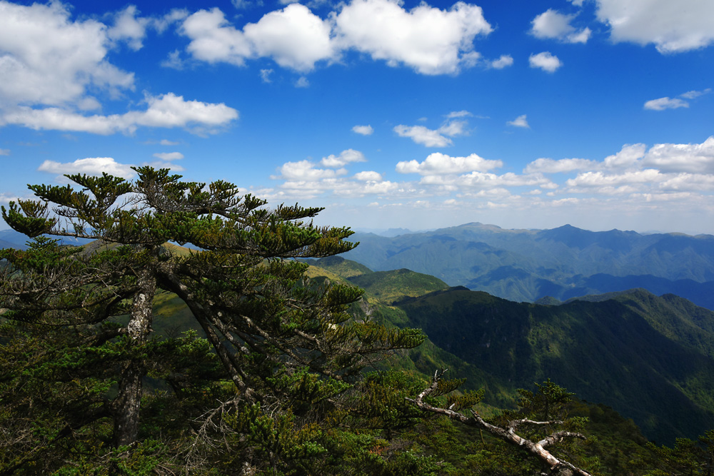 神农顶 摄影 沙弛