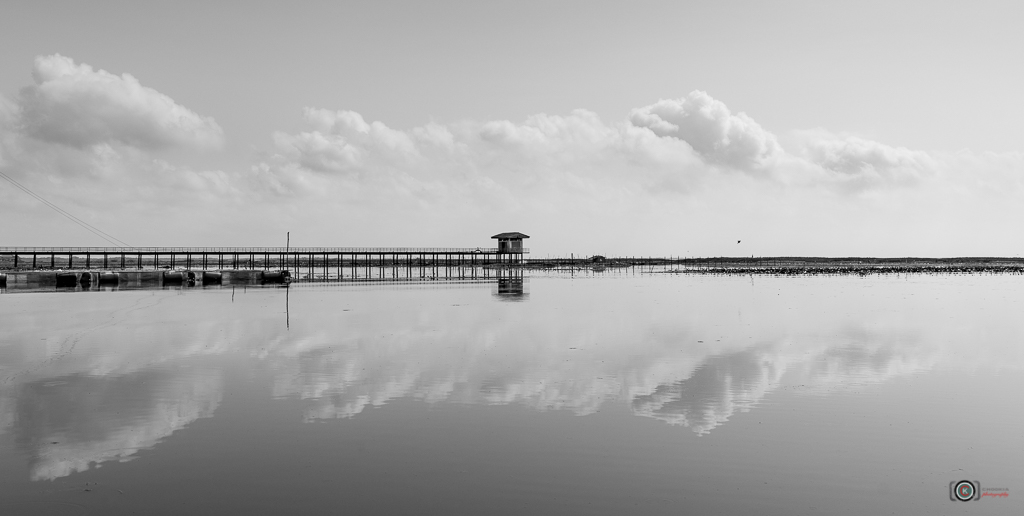 Peaceful II Phatthalung 摄影 chookia