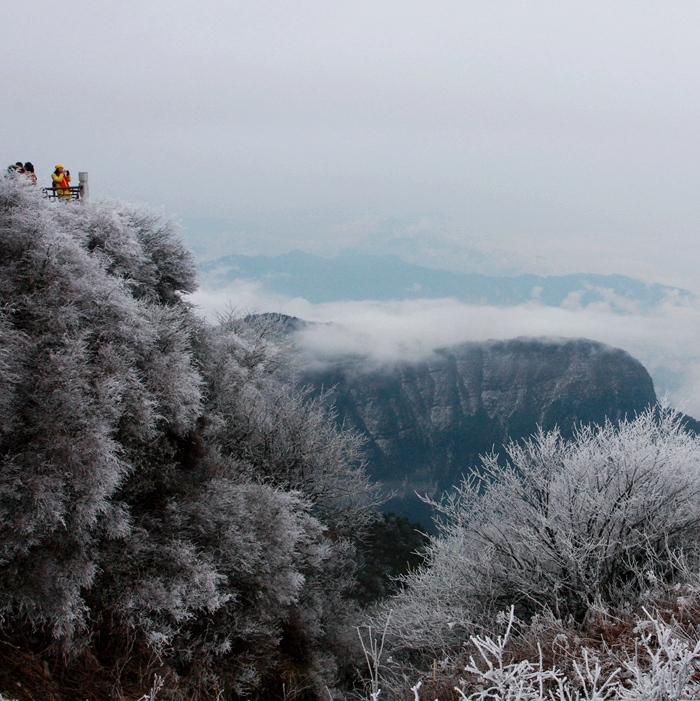 无限风光在险峰 摄影 wangshihua