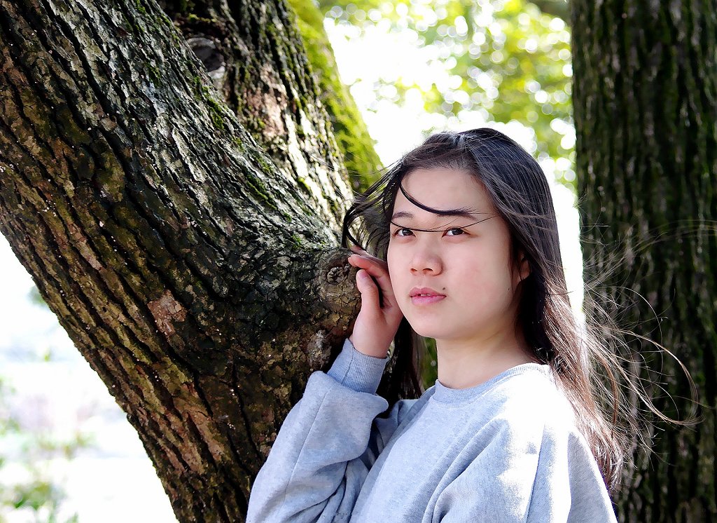 冬日阳光 摄影 华龙大哥