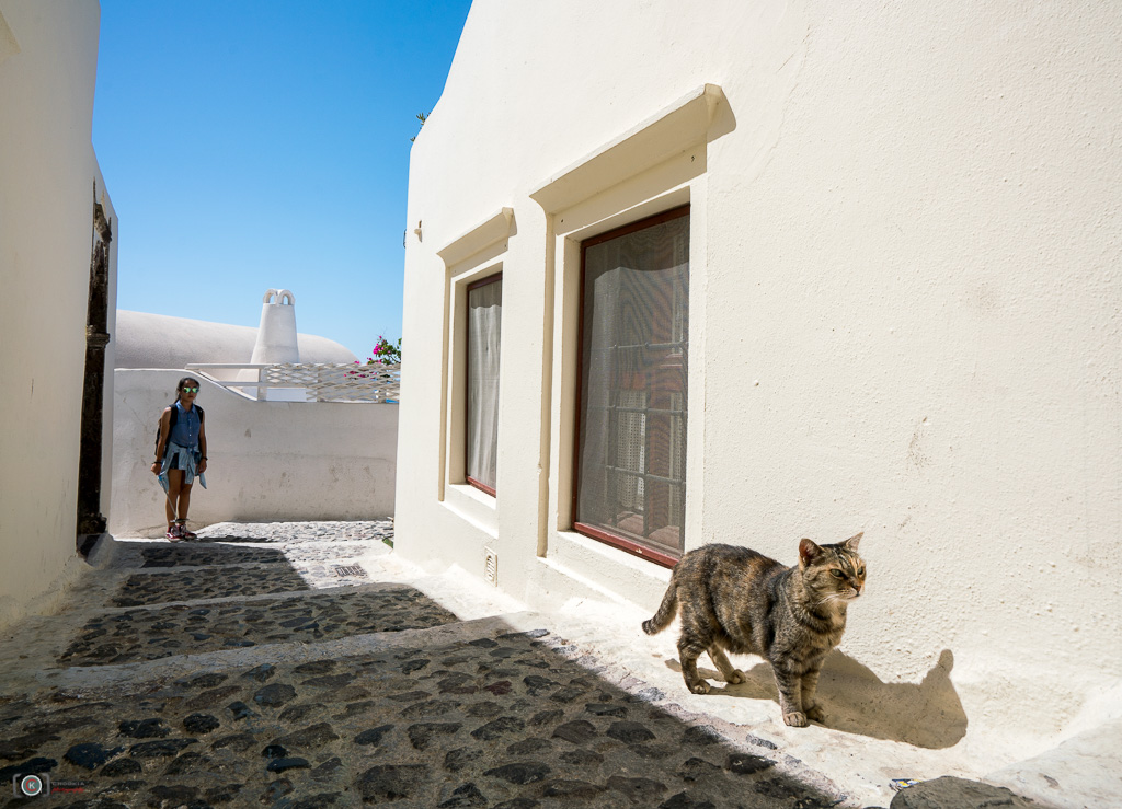 Any Happen ?? II Santorini 摄影 chookia