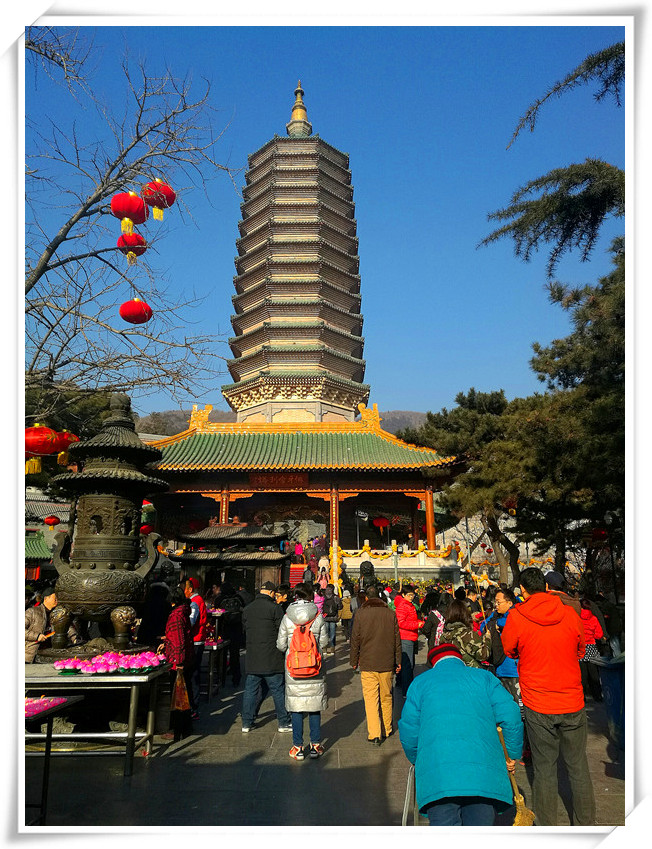 2017年风景；16 摄影 山中树叶