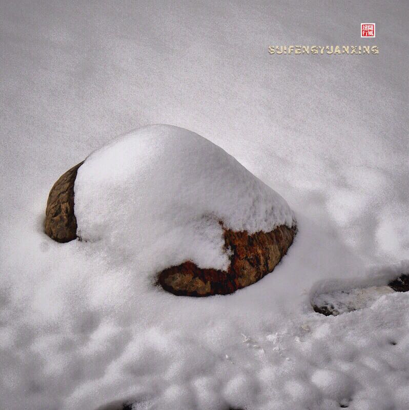 下雪啦 摄影 随风远行