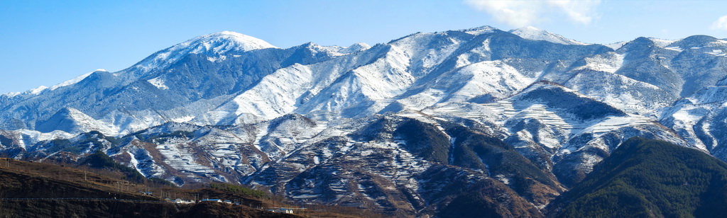 春雪 摄影 青花椒