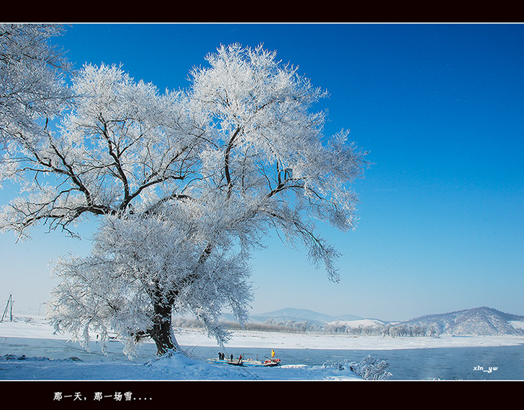 那一年，那一场雪.... 摄影 芯茹