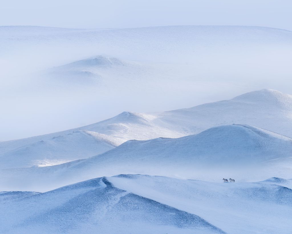 雪季的轻柔 摄影 西湖钓神