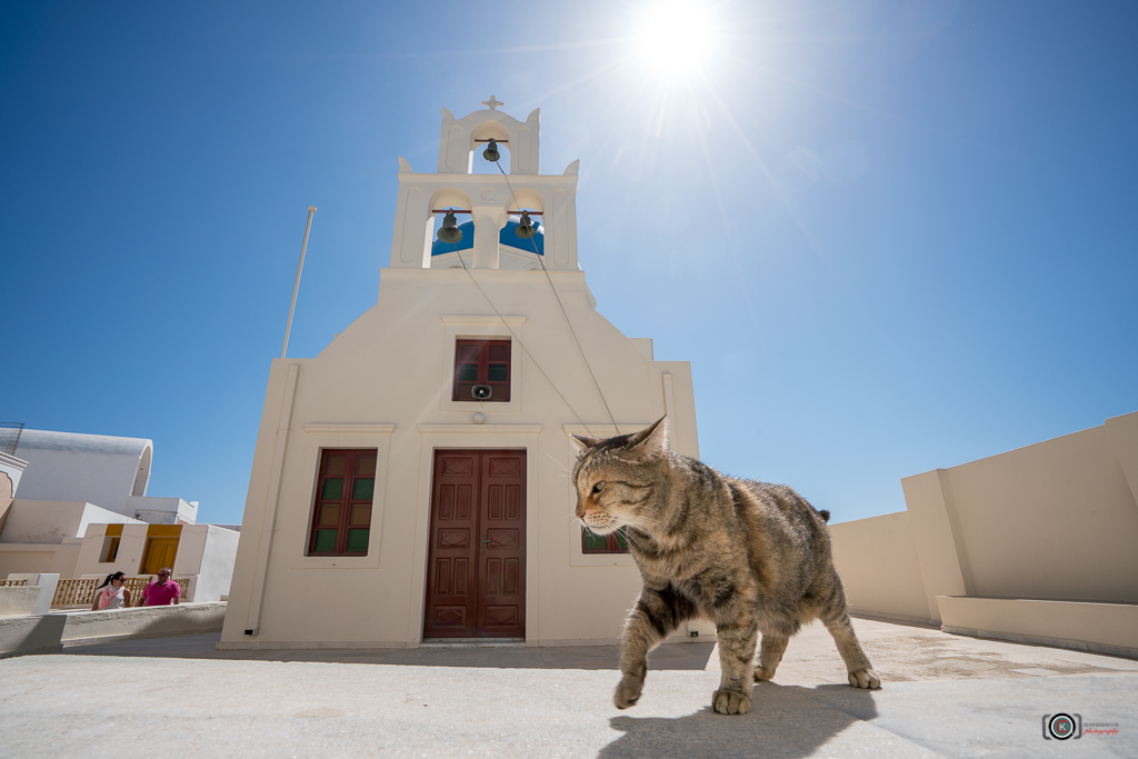 Life On The Street - Santorini 摄影 chookia