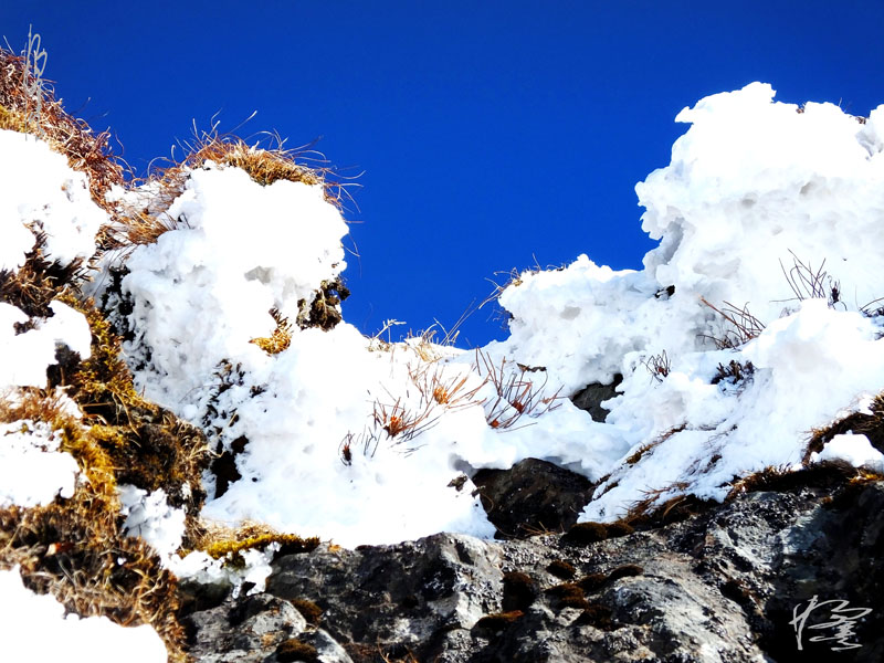 昆明轿子雪山-19 摄影 独龙人