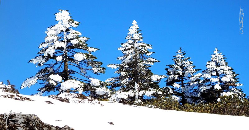 昆明轿子雪山-24 摄影 独龙人