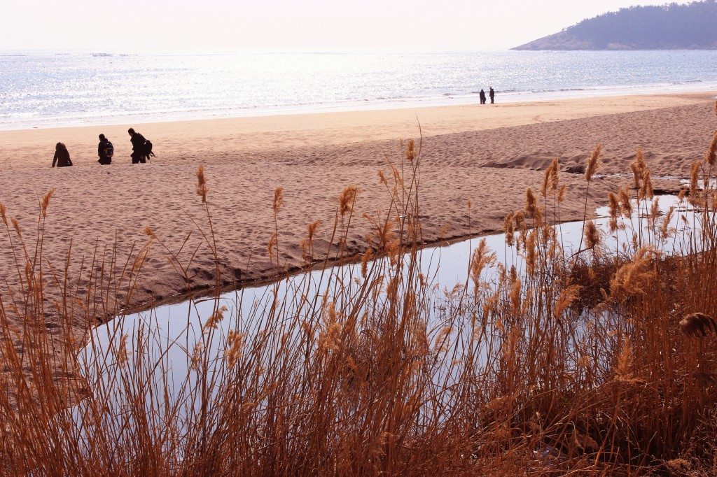 青岛海滨  流青河 摄影 过了