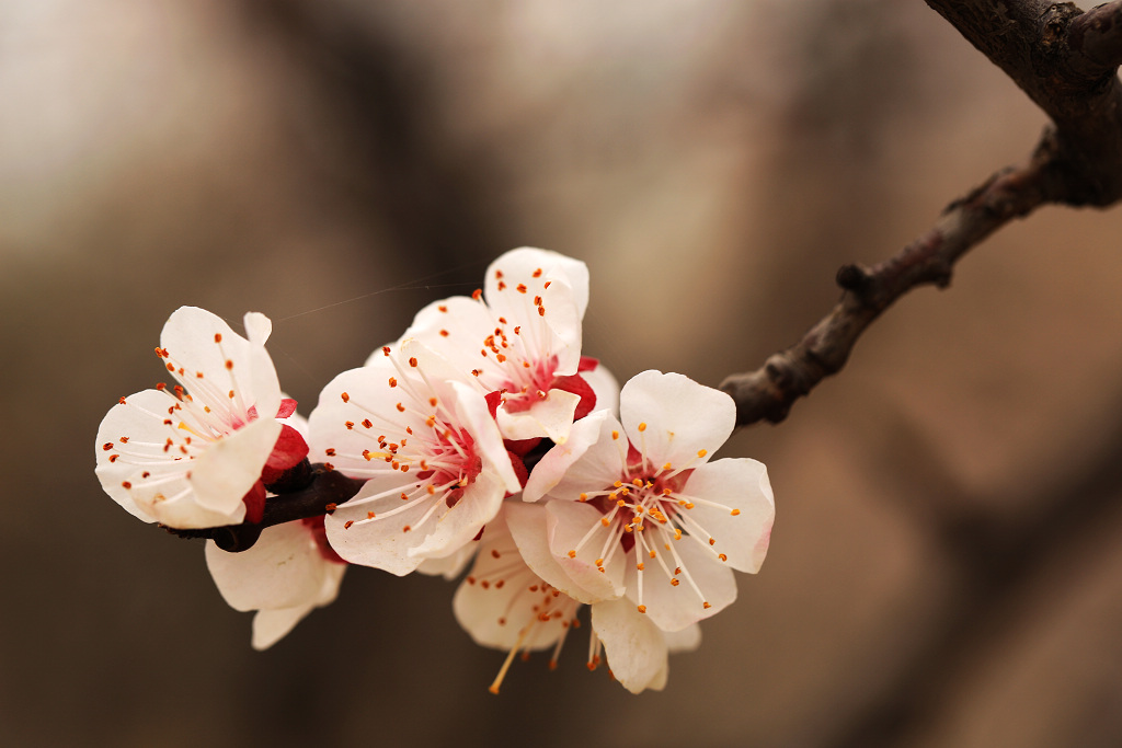 花枝俏 摄影 城市猫眼