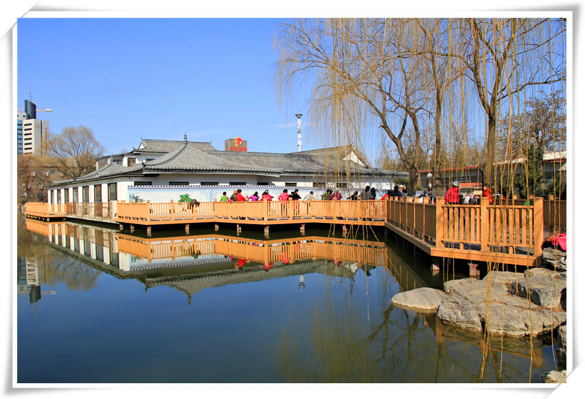 2017年风景；初春的北京国际雕塑公园，2 摄影 山中树叶