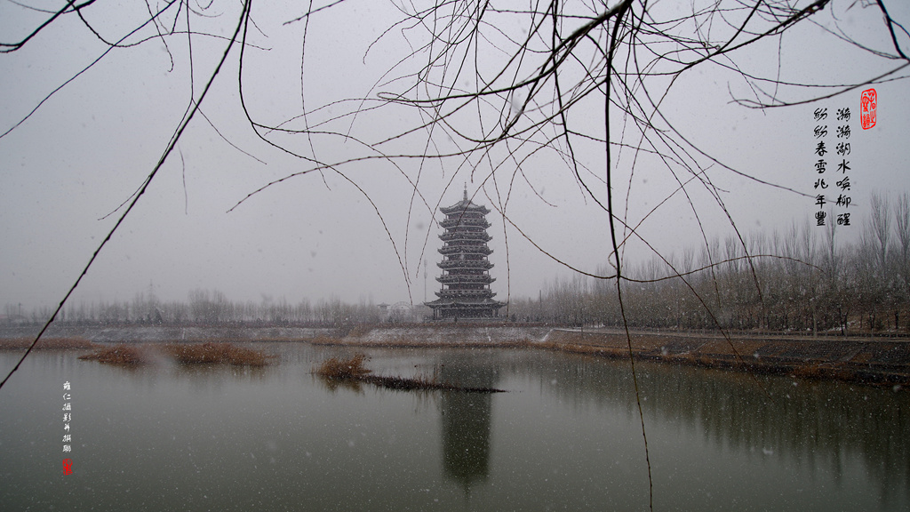 春雪 摄影 雍仁