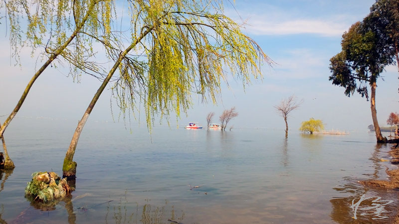 捞鱼河湿地-07 摄影 独龙人