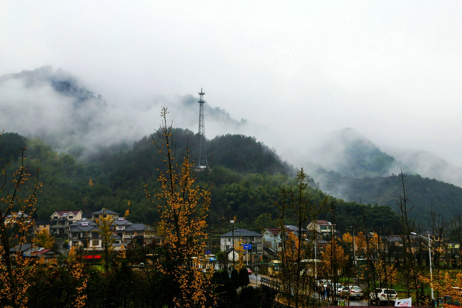 山区秋色 摄影 二度潮