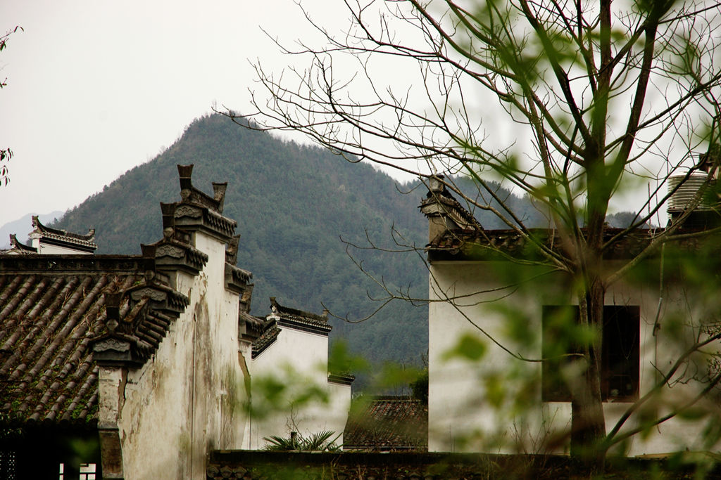 徽村早春 摄影 小溪潺潺