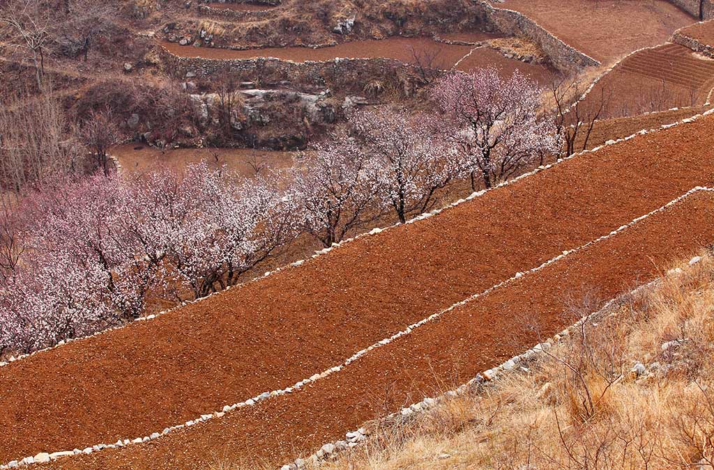 山野 摄影 秀水青山