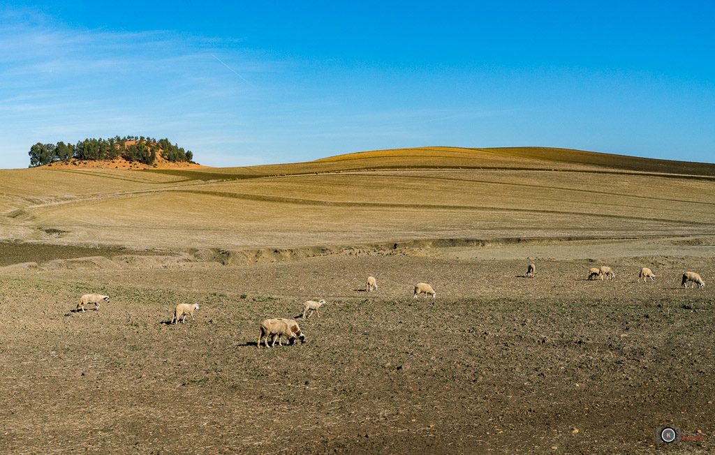 SomeWhere In The Morocco 摄影 chookia