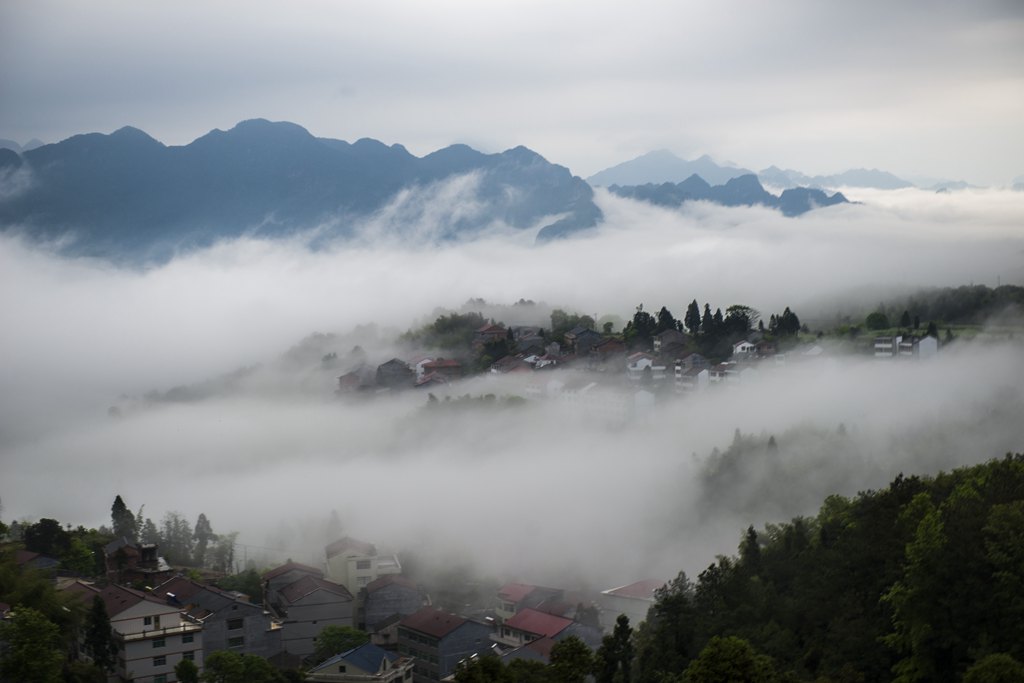 云雾缭绕.茗岙 摄影 茗岙忠