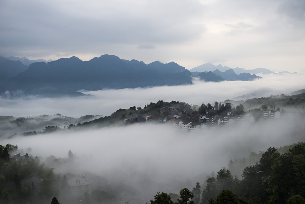 晨雾 摄影 茗岙忠