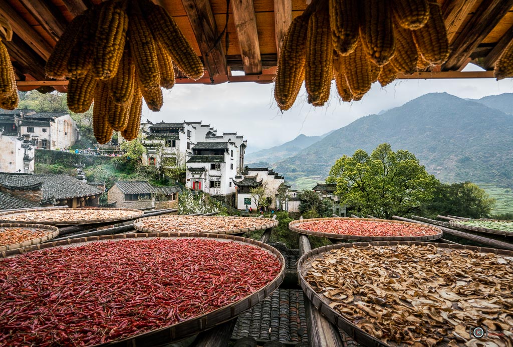 晒秋人家 II 篁嶺-婺源 Wuyuan- China 摄影 chookia