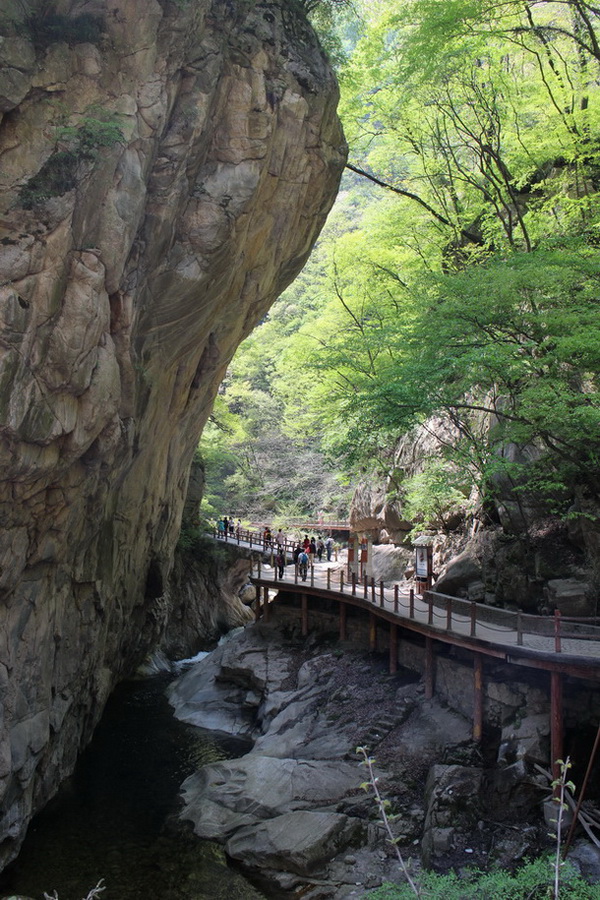 秦岭--太平峪 摄影 大美秦岭1