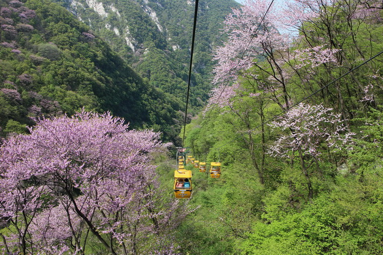 秦岭--太平峪 摄影 大美秦岭1