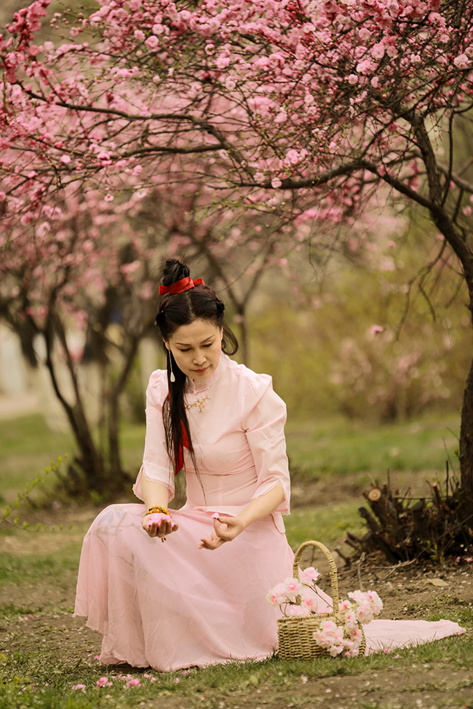 花开花落 摄影 帕多瓦
