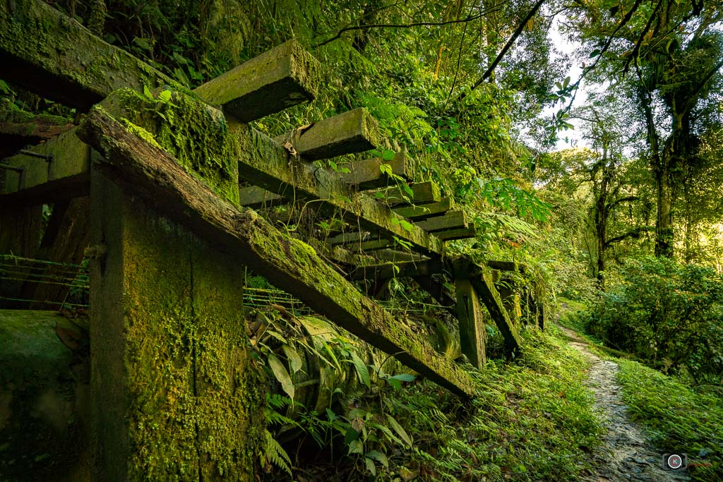 Green II Robinson Waterfall 摄影 chookia