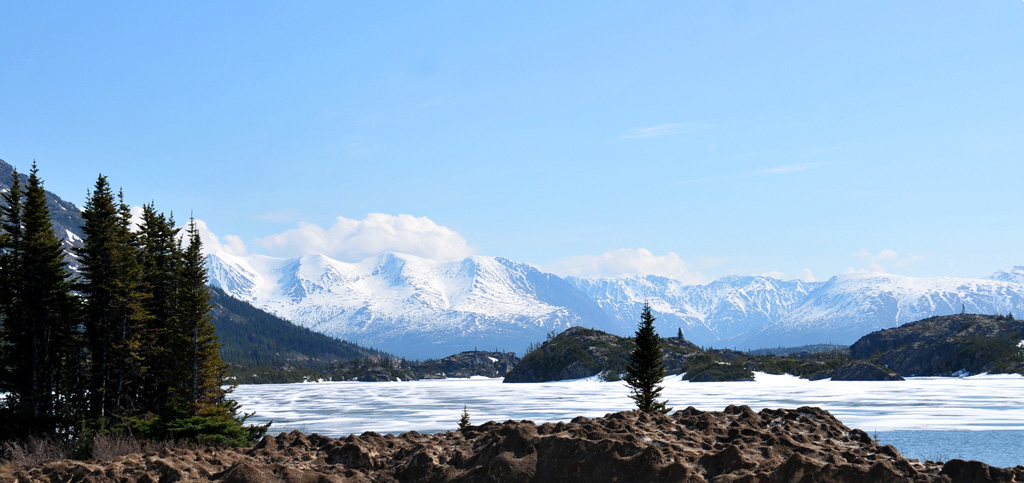 美丽的阿拉斯加冰湖与雪原 摄影 与众不同