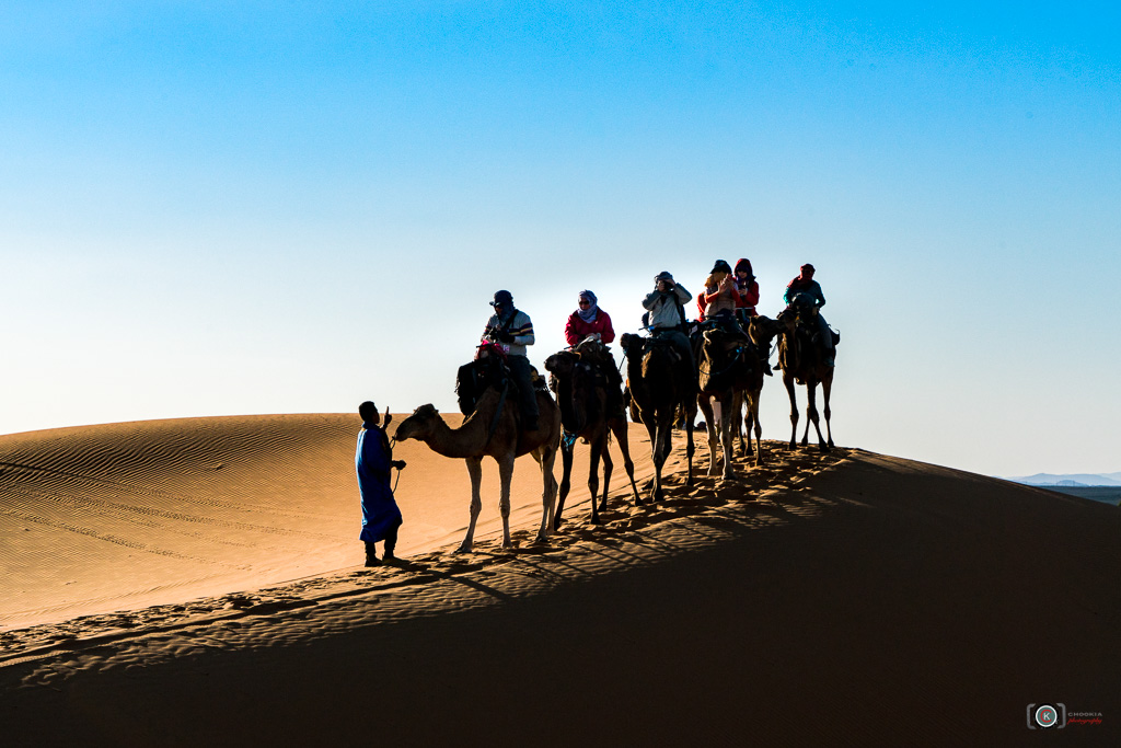 Camel Trip II Sahara Desert 摄影 chookia