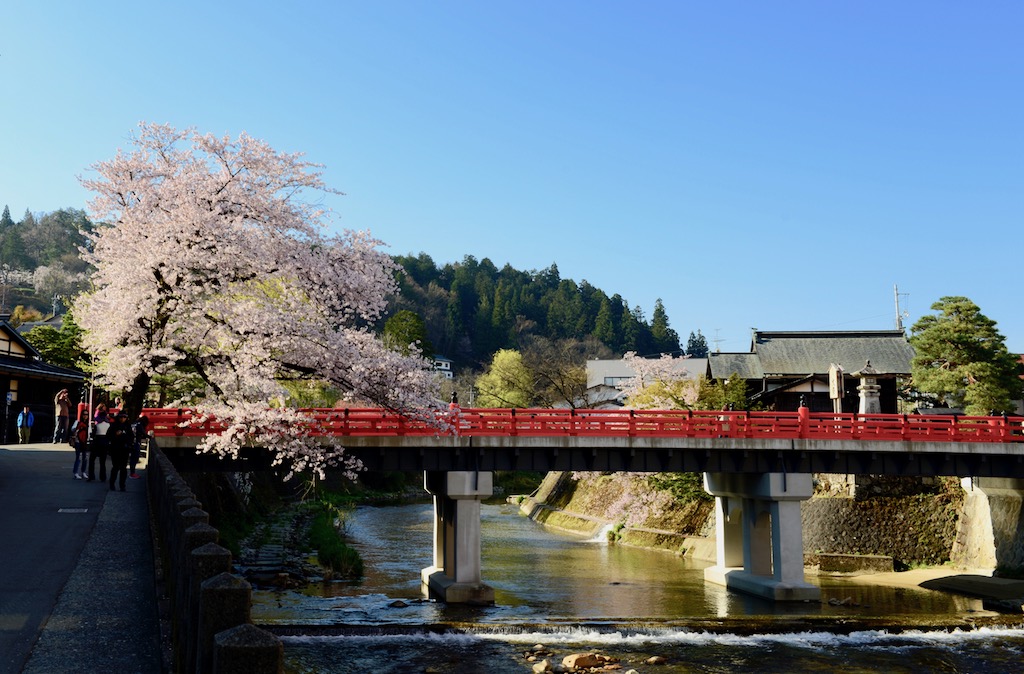 高山中橋 摄影 楊戍子