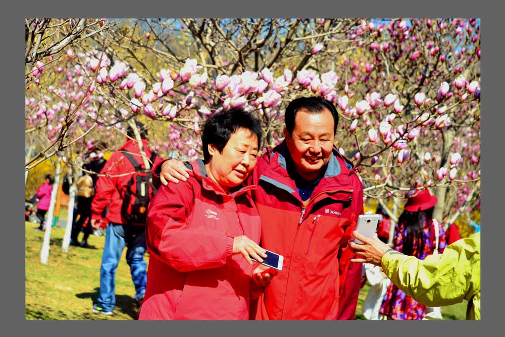 北京国际雕塑公园玉兰花文化节 摄影 北京快乐兔