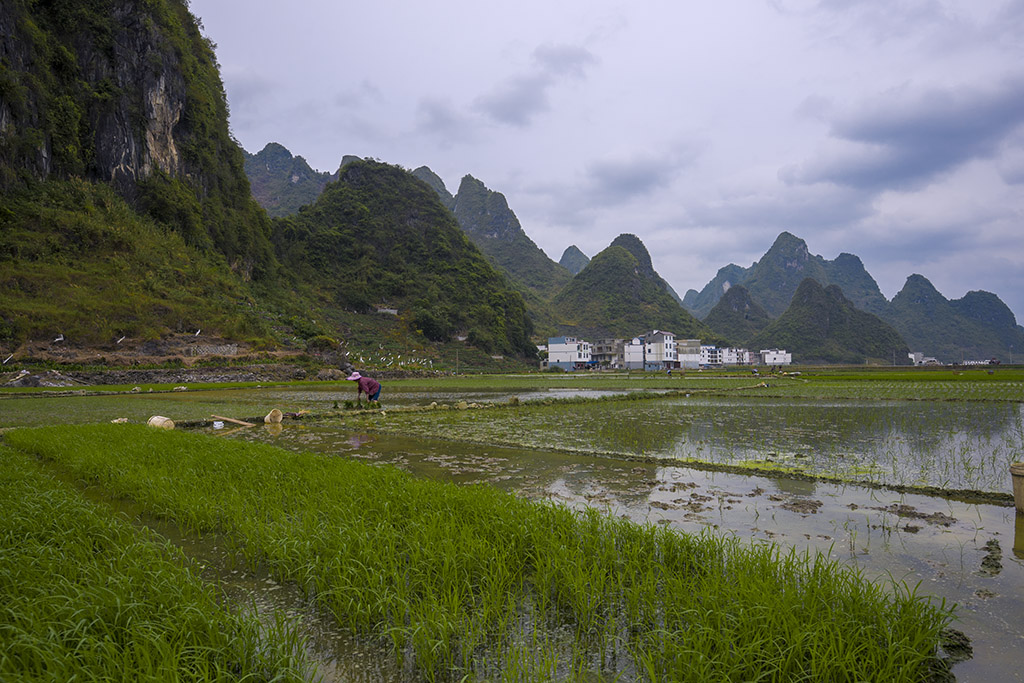 秀美田园 摄影 yangguanga