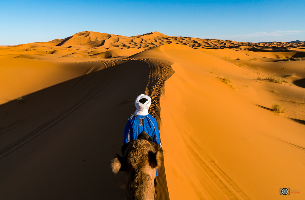 Sahara Desert II Merzouga 摄影 chookia