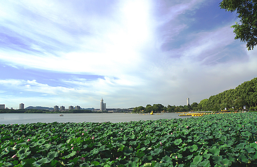 玄武湖之夏 摄影 松雪