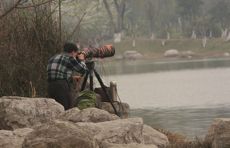 打鸟的摄友 摄影 wangshihua