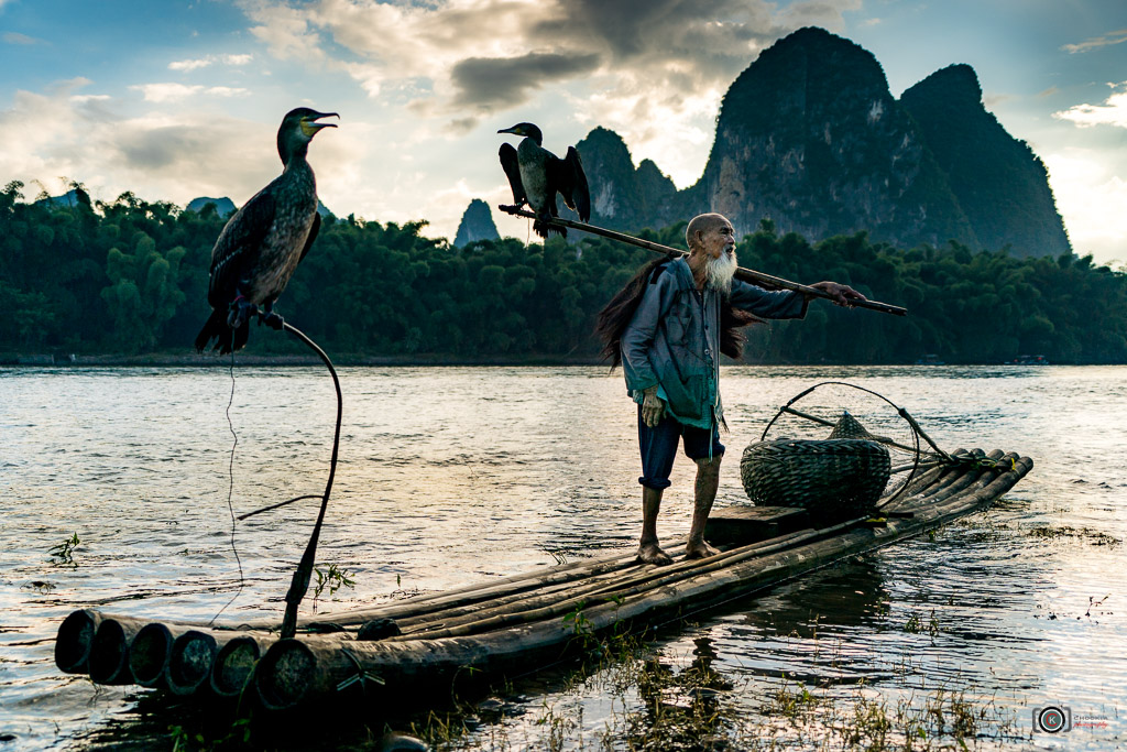 Mr Cormorant of Guilin II 桂林漓江 摄影 chookia