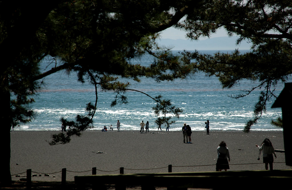 近看远眺（六） 摄影 小溪潺潺