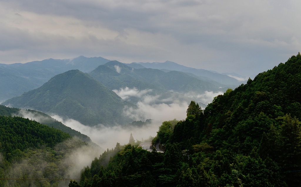 山霧 摄影 楊戍子