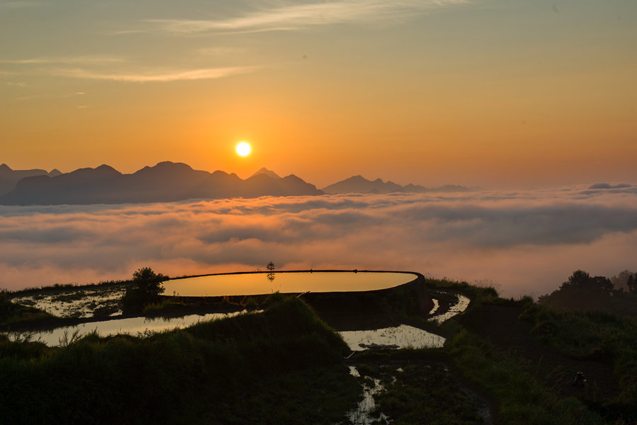 田中田晨雾.茗岙 摄影 茗岙忠