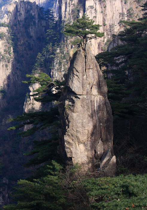 黄山剪影 摄影 wangshihua