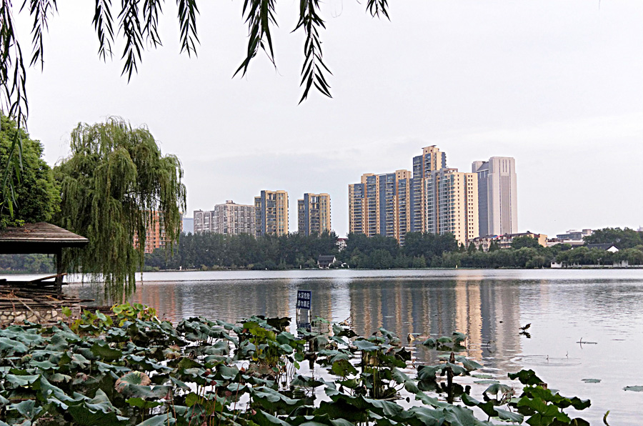 湖边即景 摄影 松雪